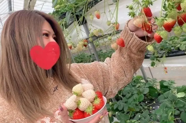 りーの