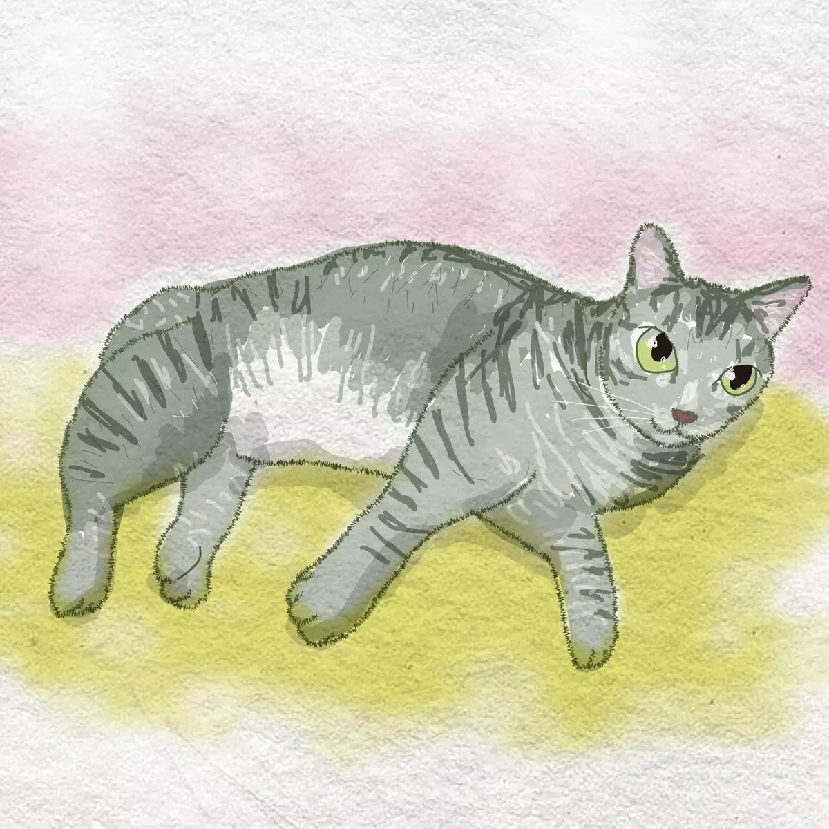 *なな*