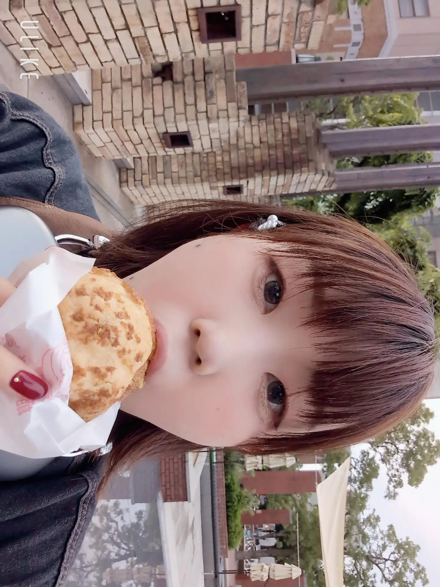 **さくら**