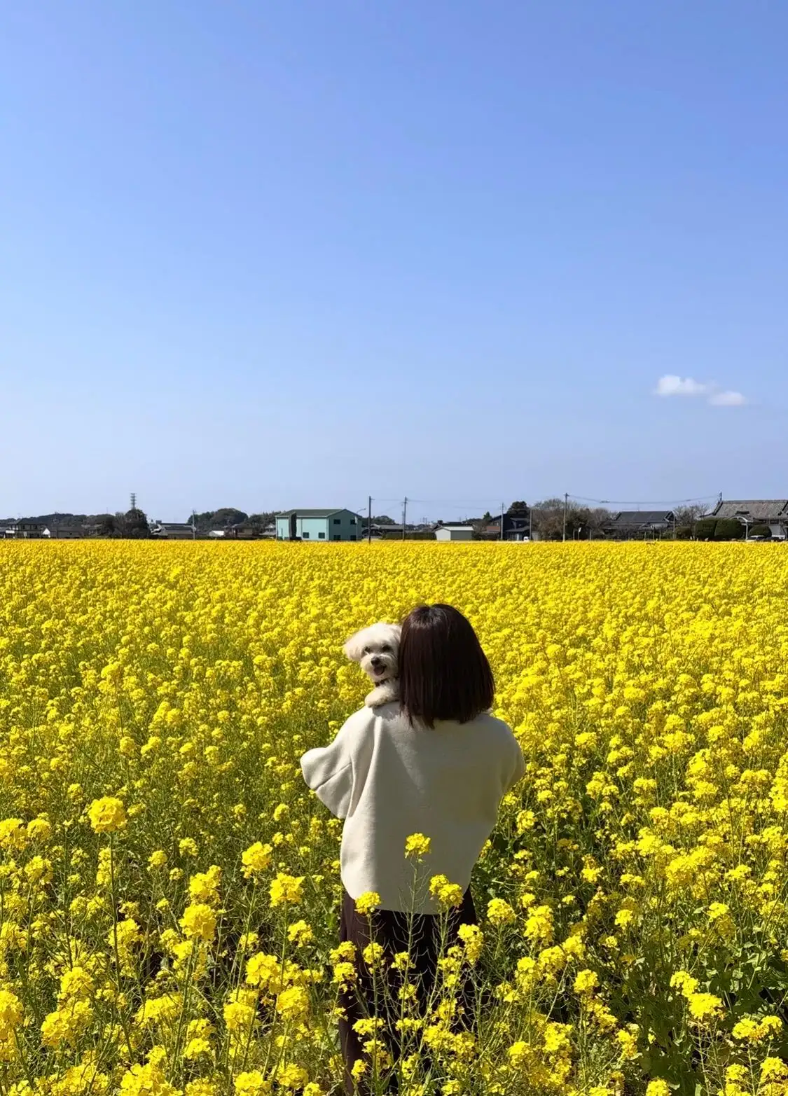 ゆかり