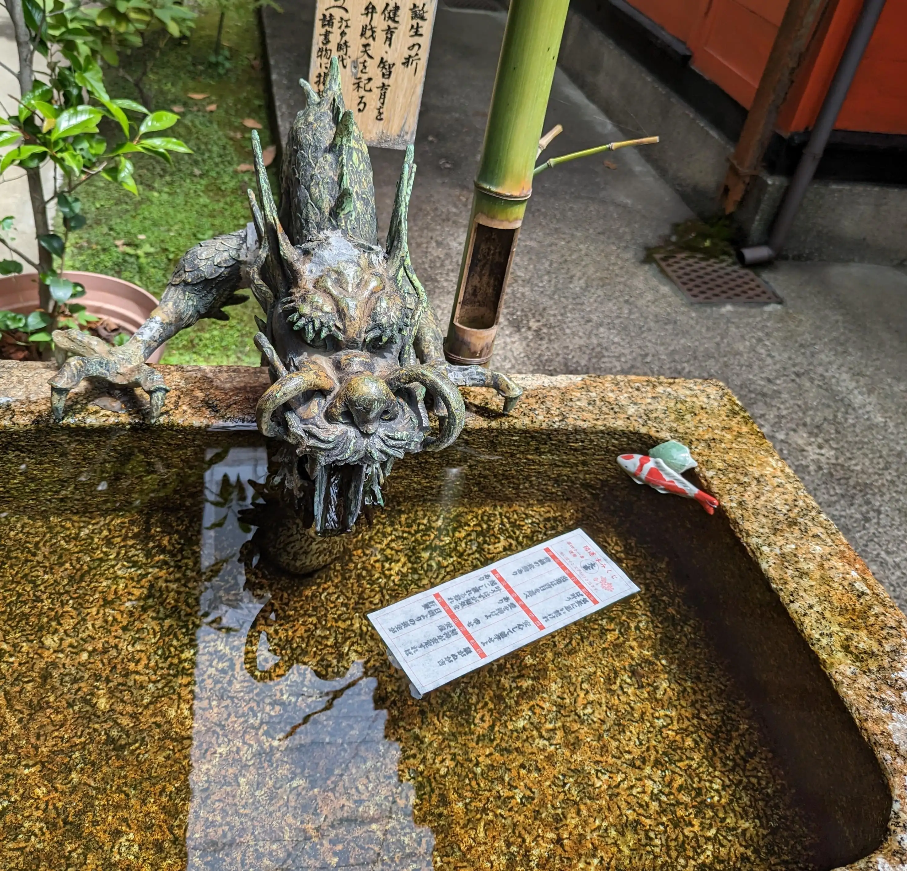 栞＊しおり＊