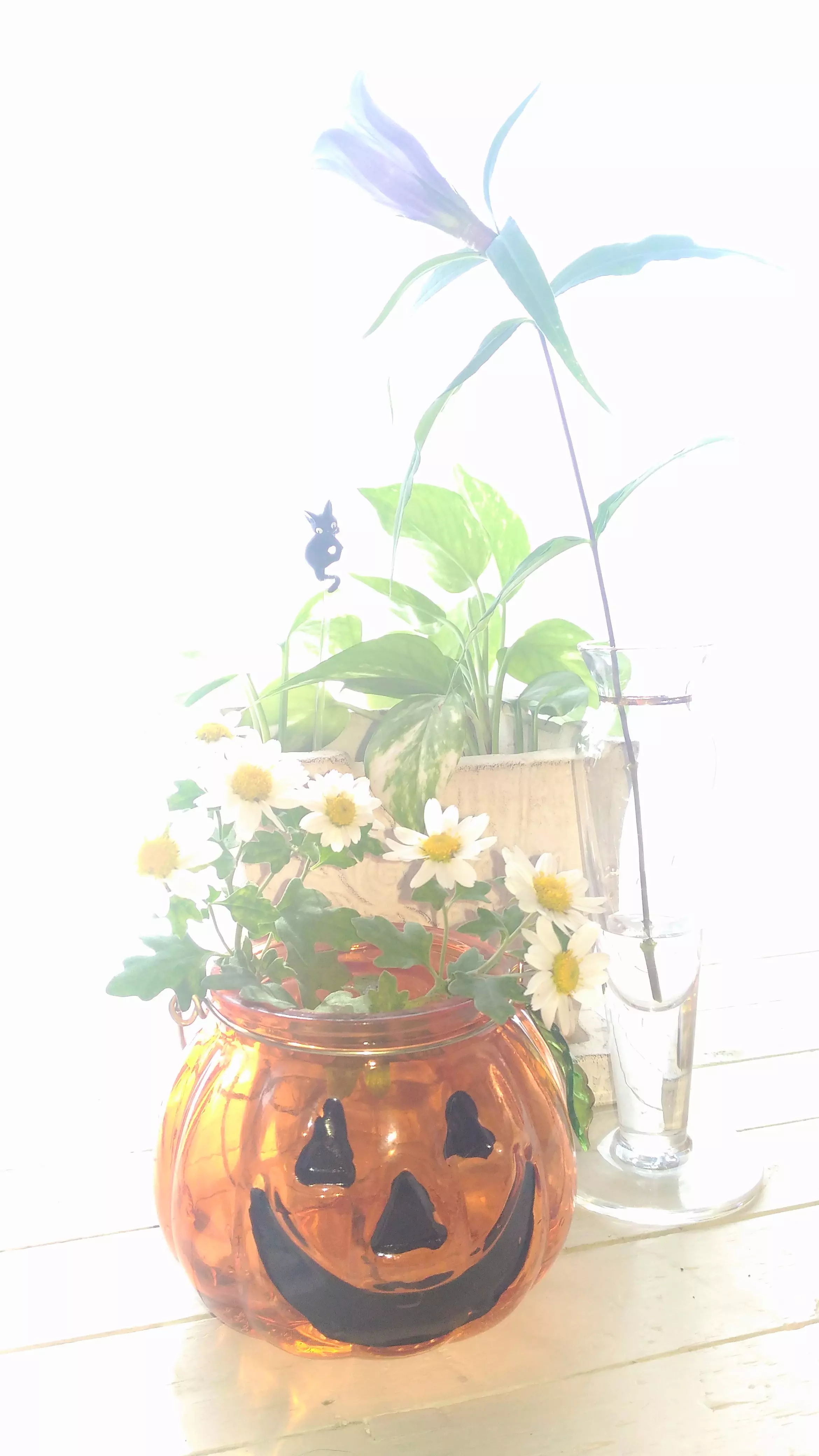 あや野