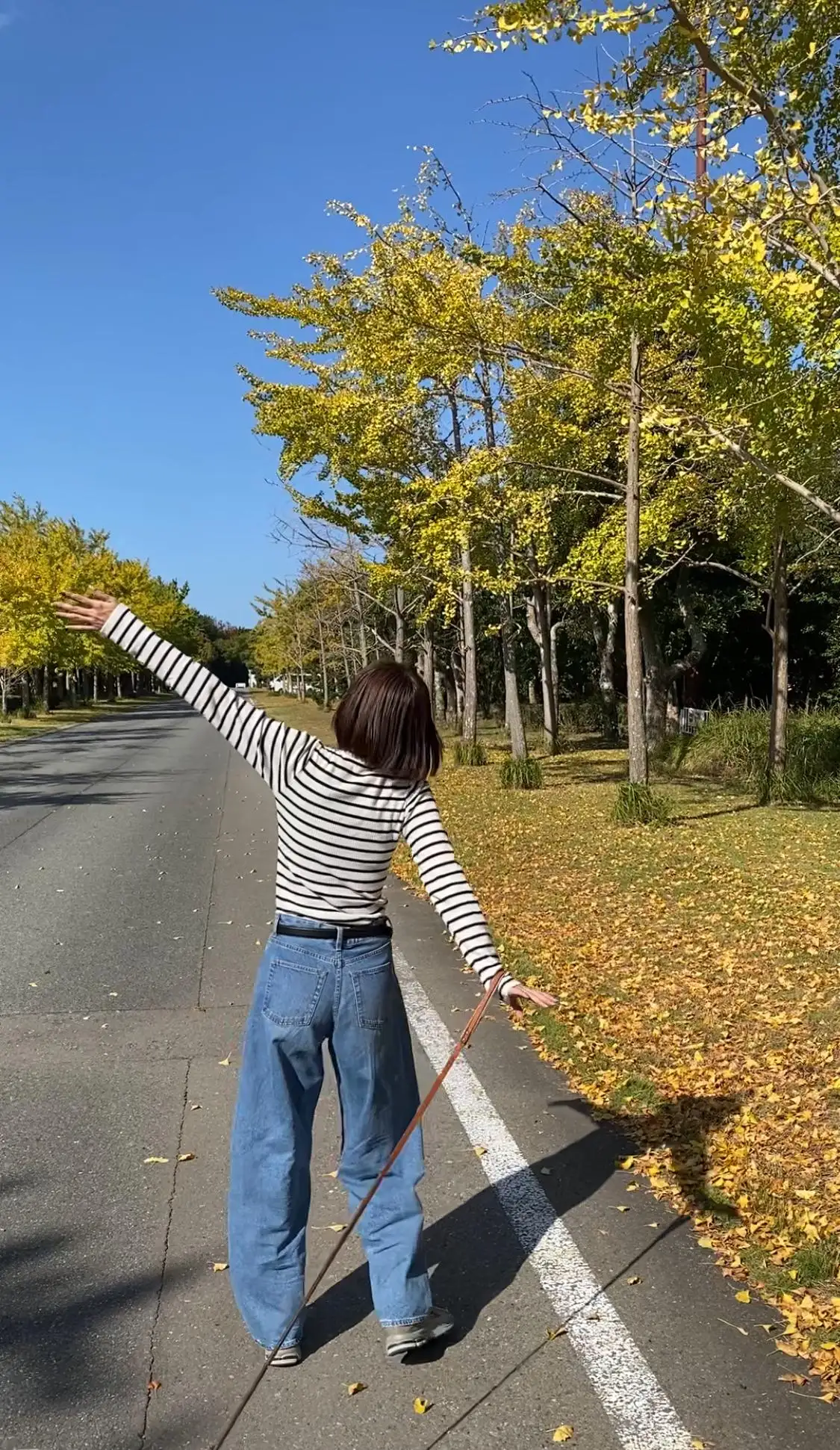ゆかり