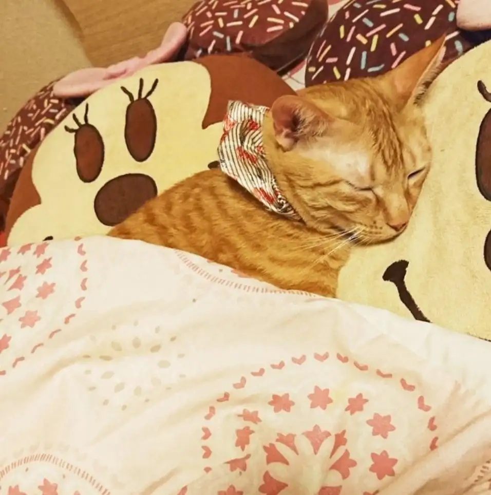 みつき