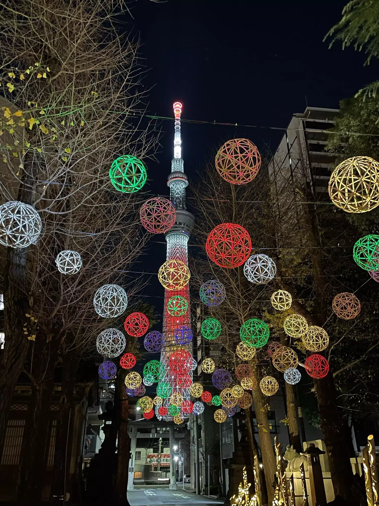 さなぽよ