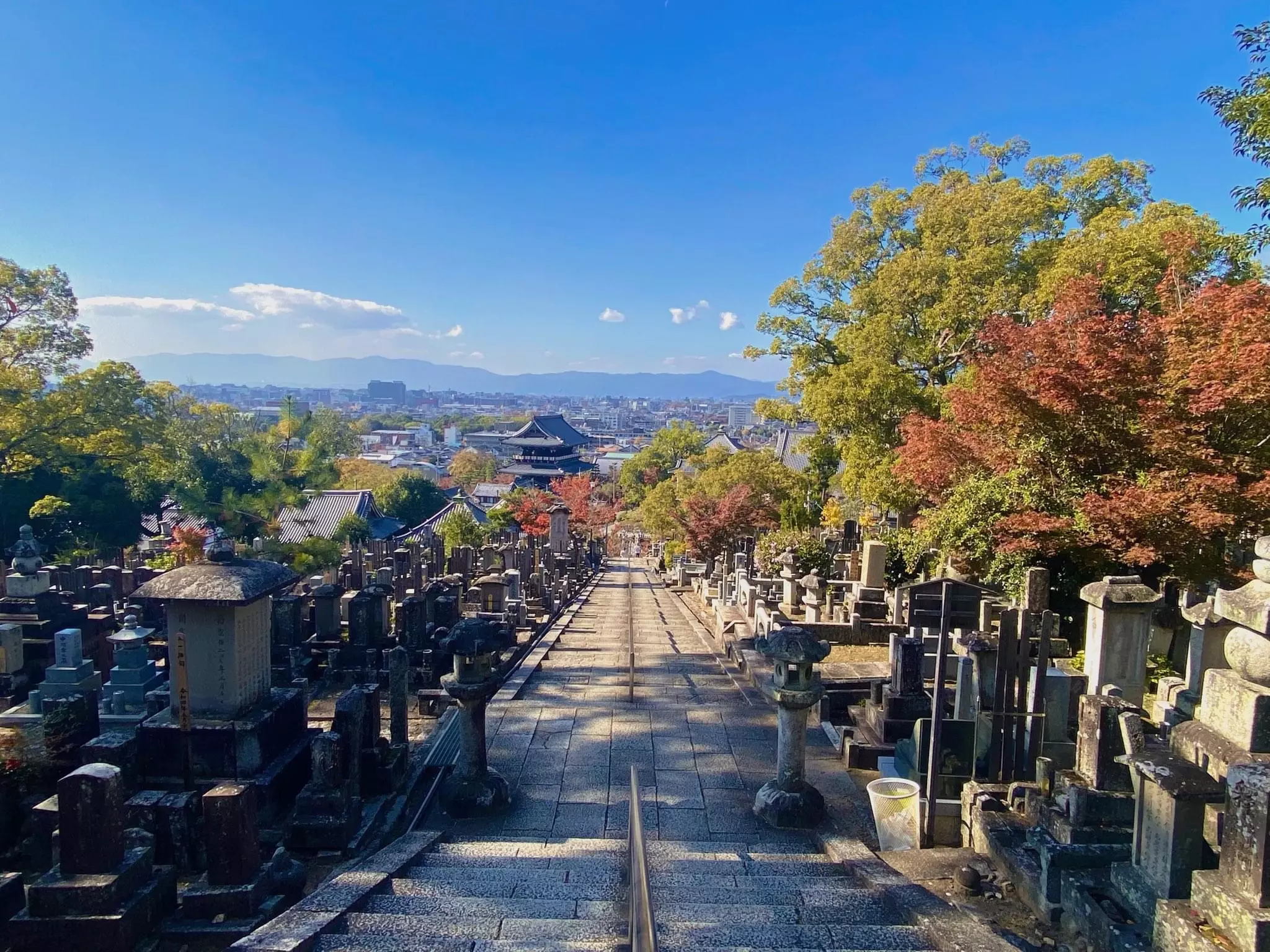 さなぽよ