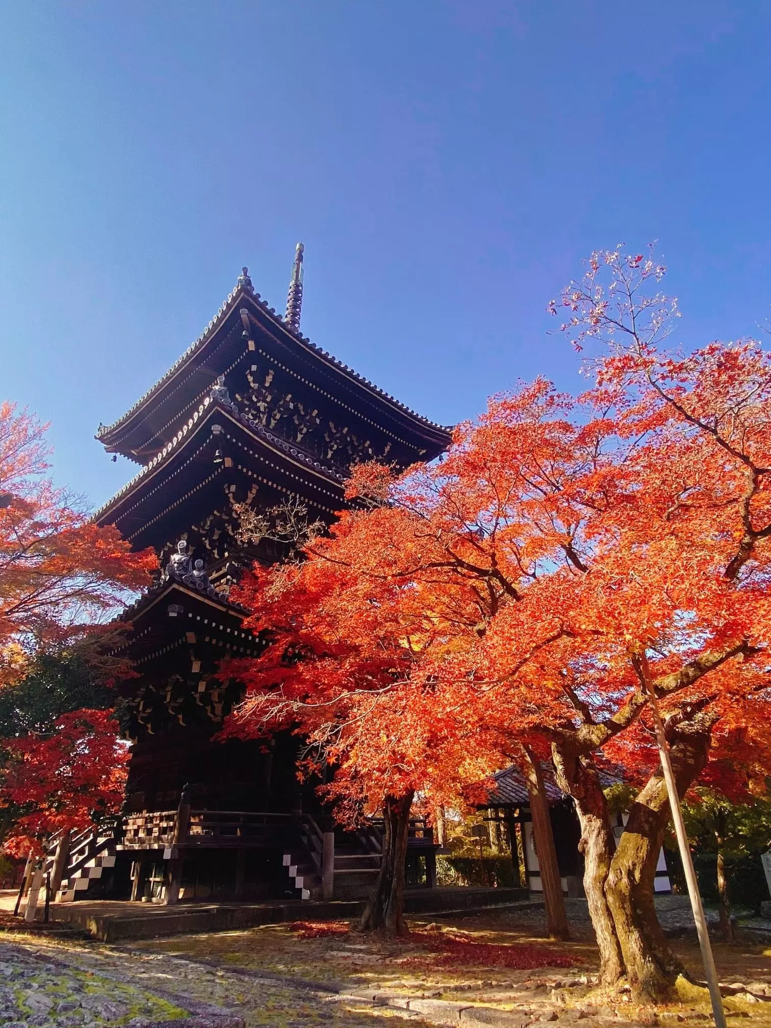 さなぽよ