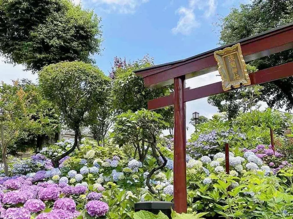 さなぽよ