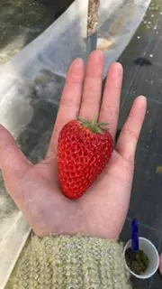 みー