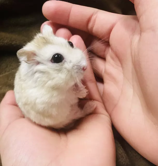 もあ