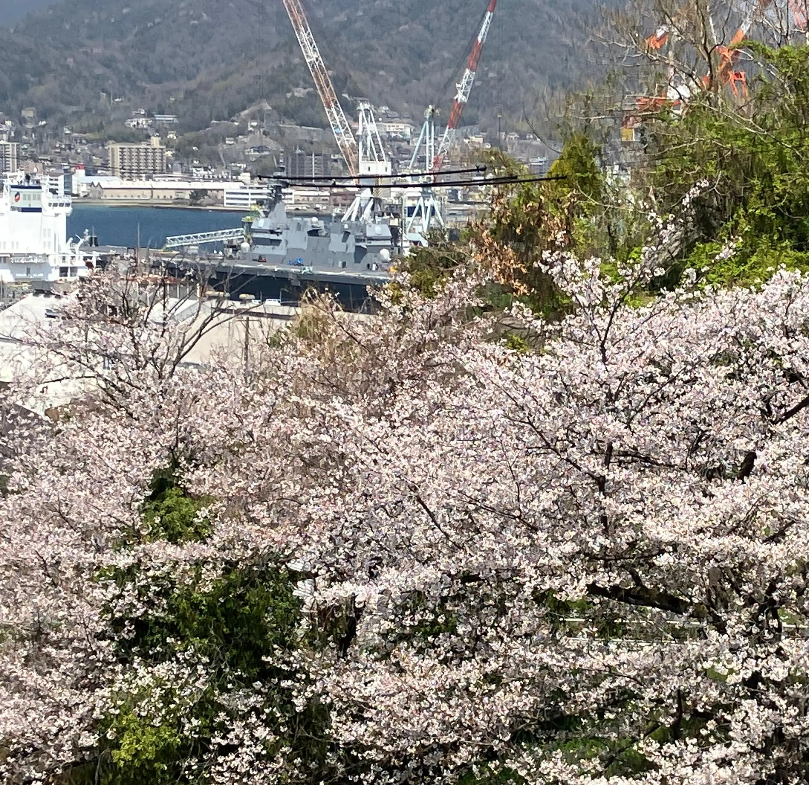 *.さつき.*