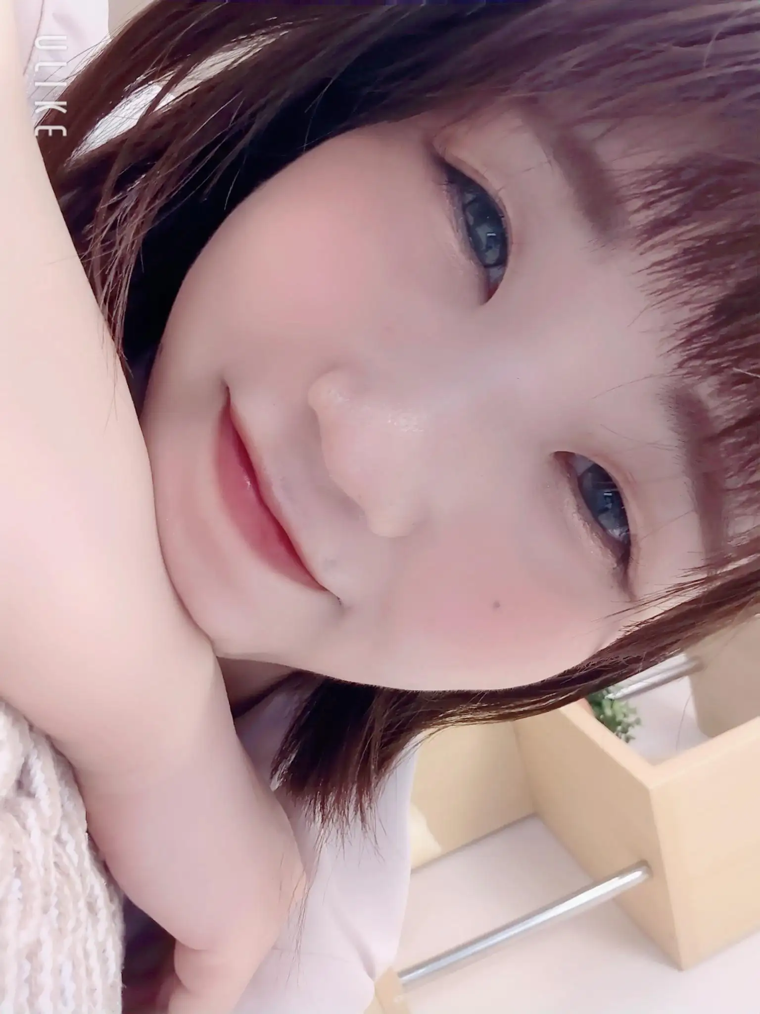 **さくら**