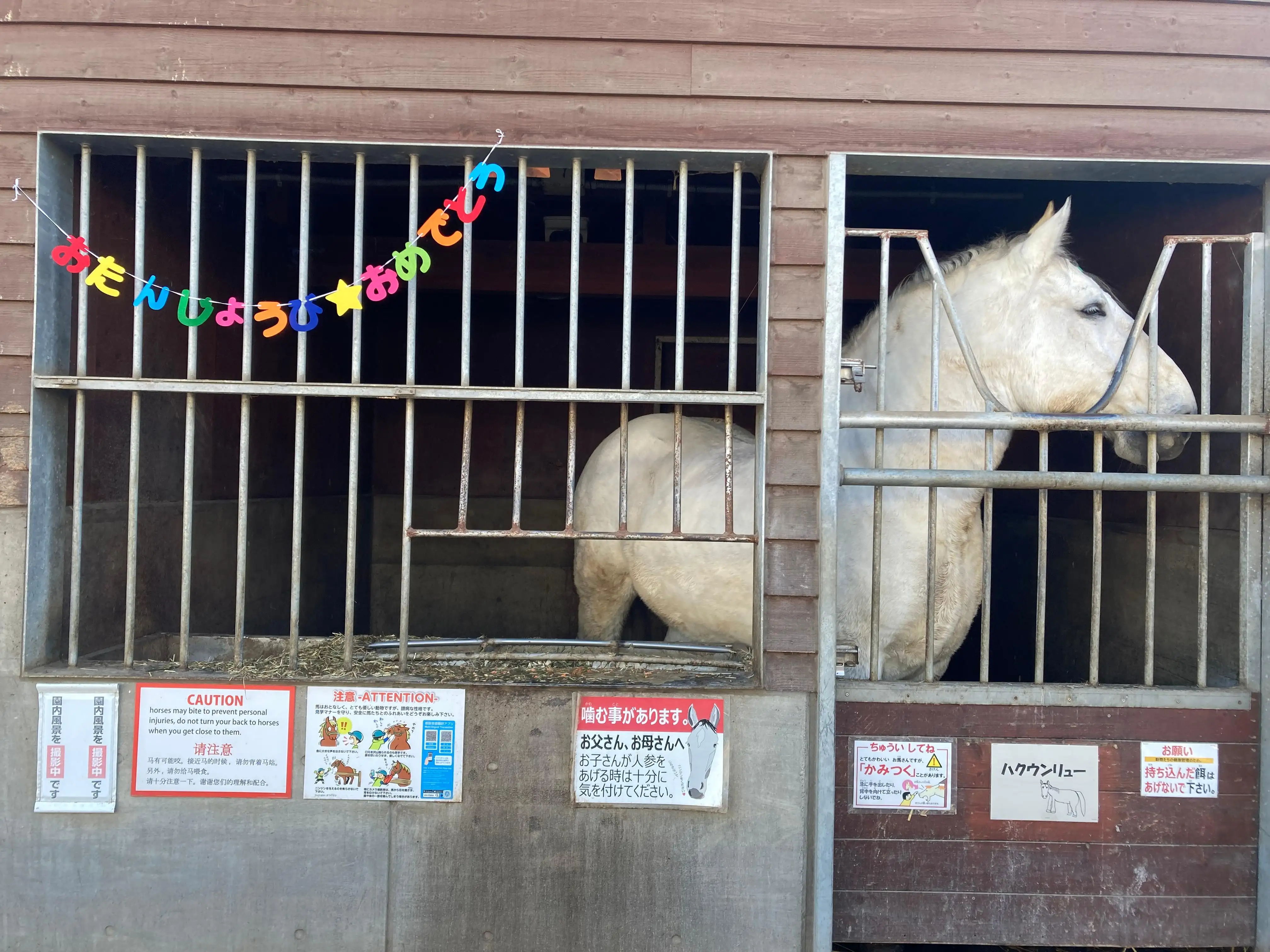 ゆうきあやね
