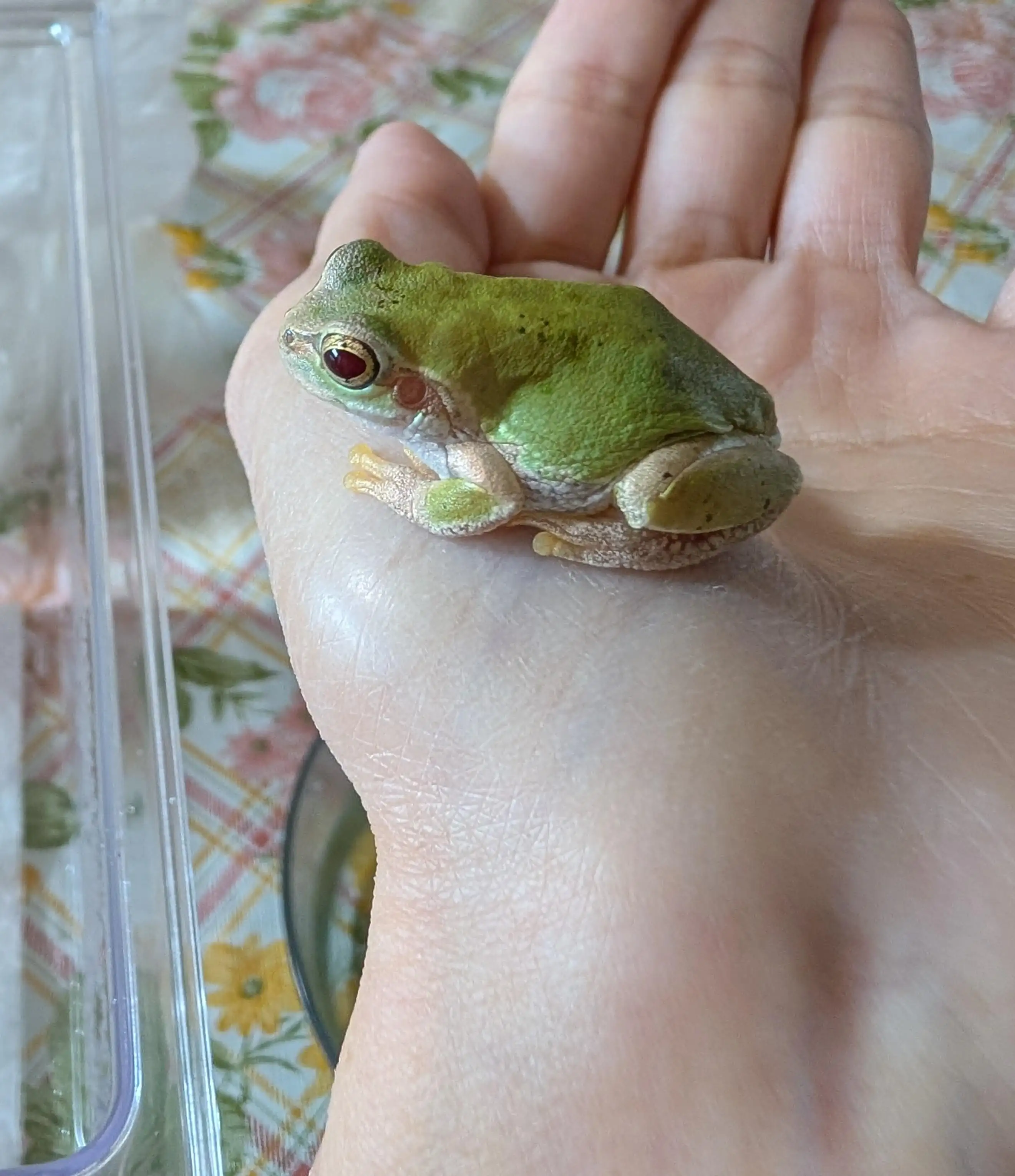 ＠ゆり