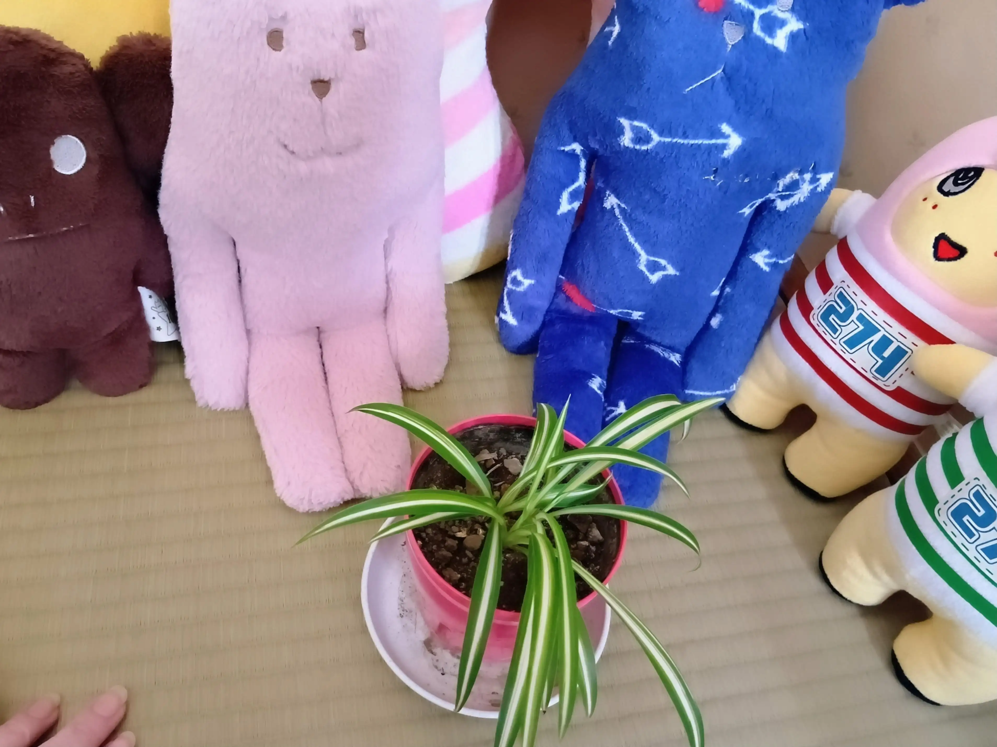 ひな(ΦωΦ)