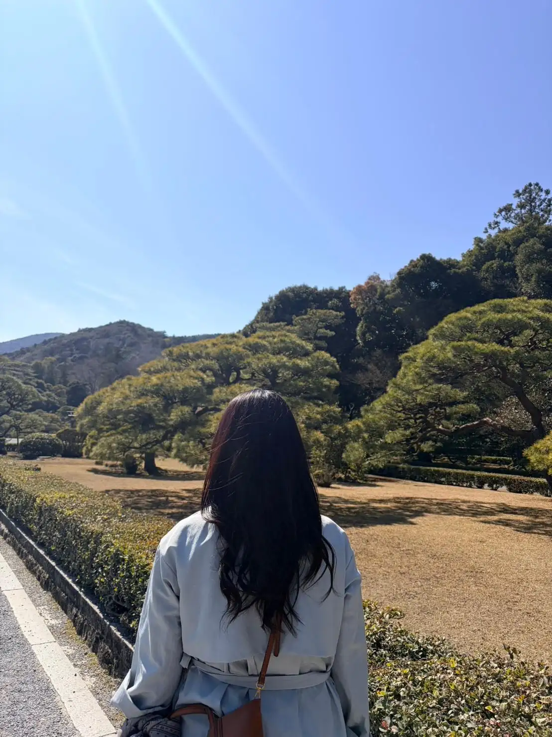 まい