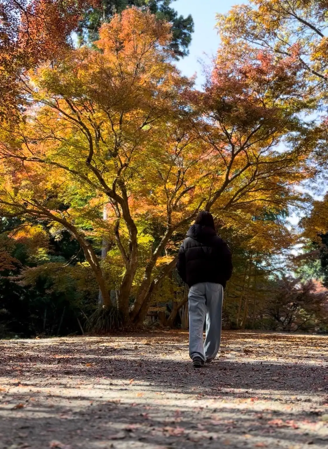 ゆかり