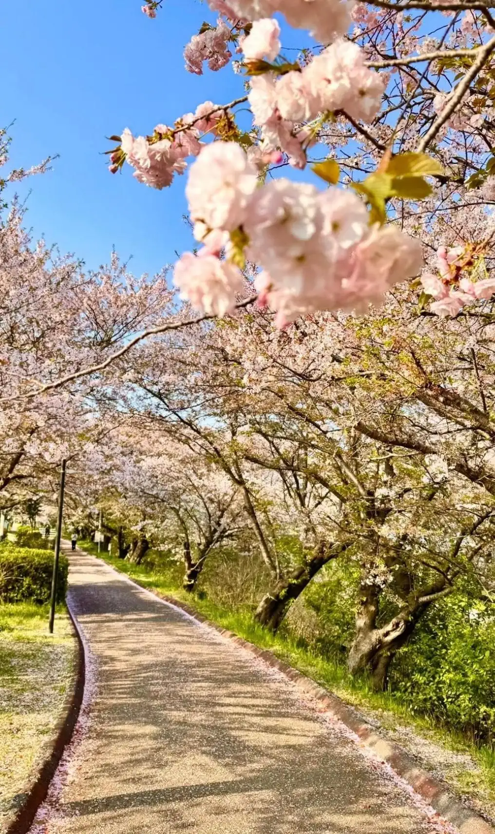 ＊＊まり＊＊