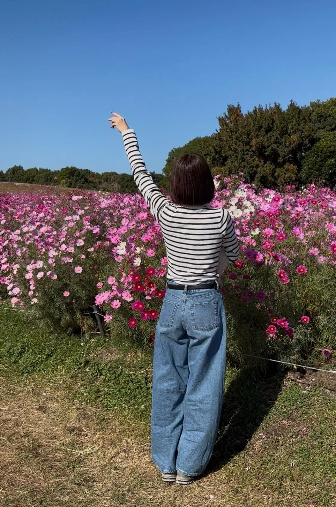 ゆかり