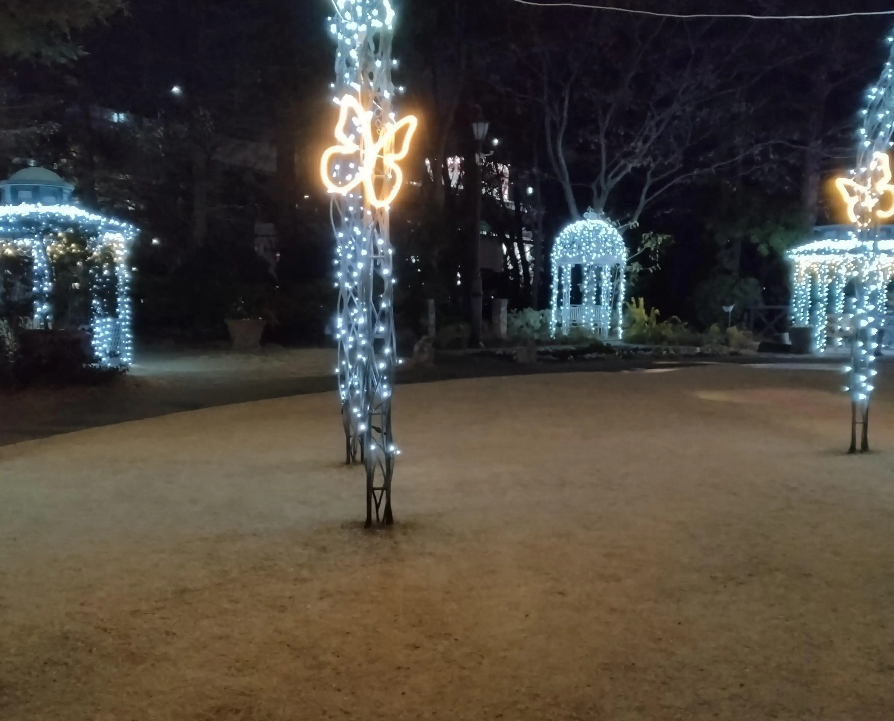 ＊かなで＊