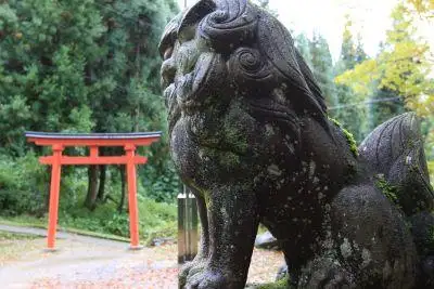 ゆの