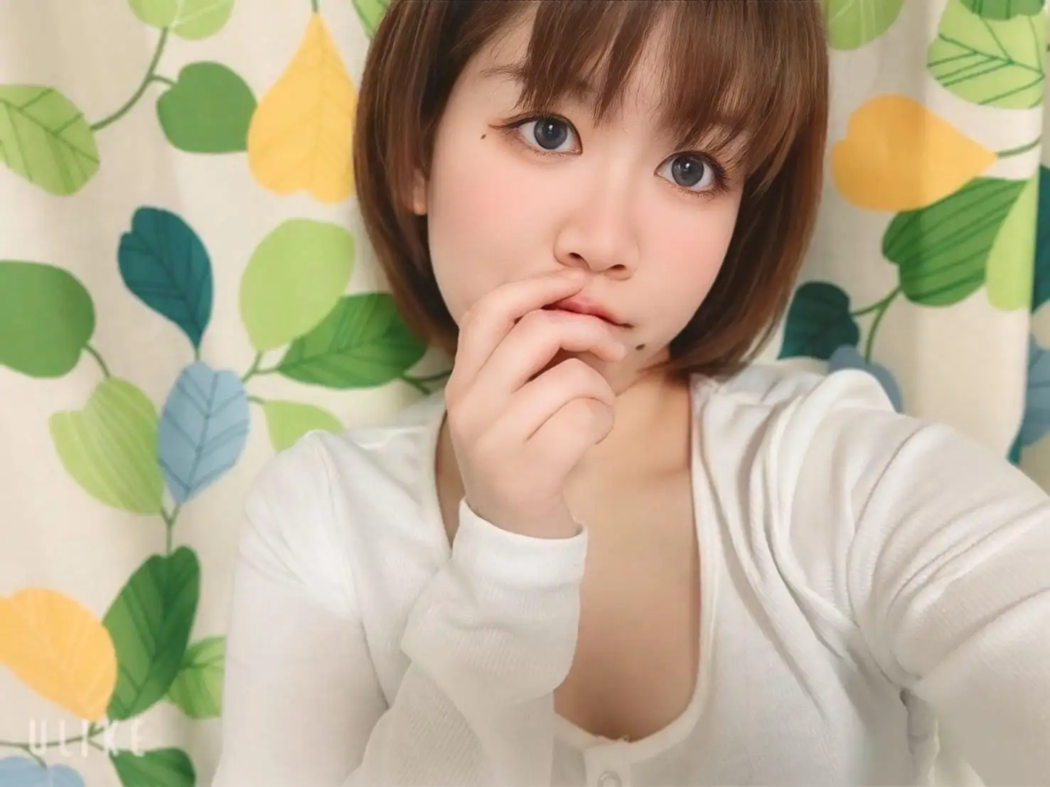 ◇しの◇
