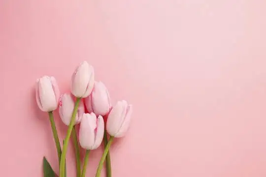 き こ