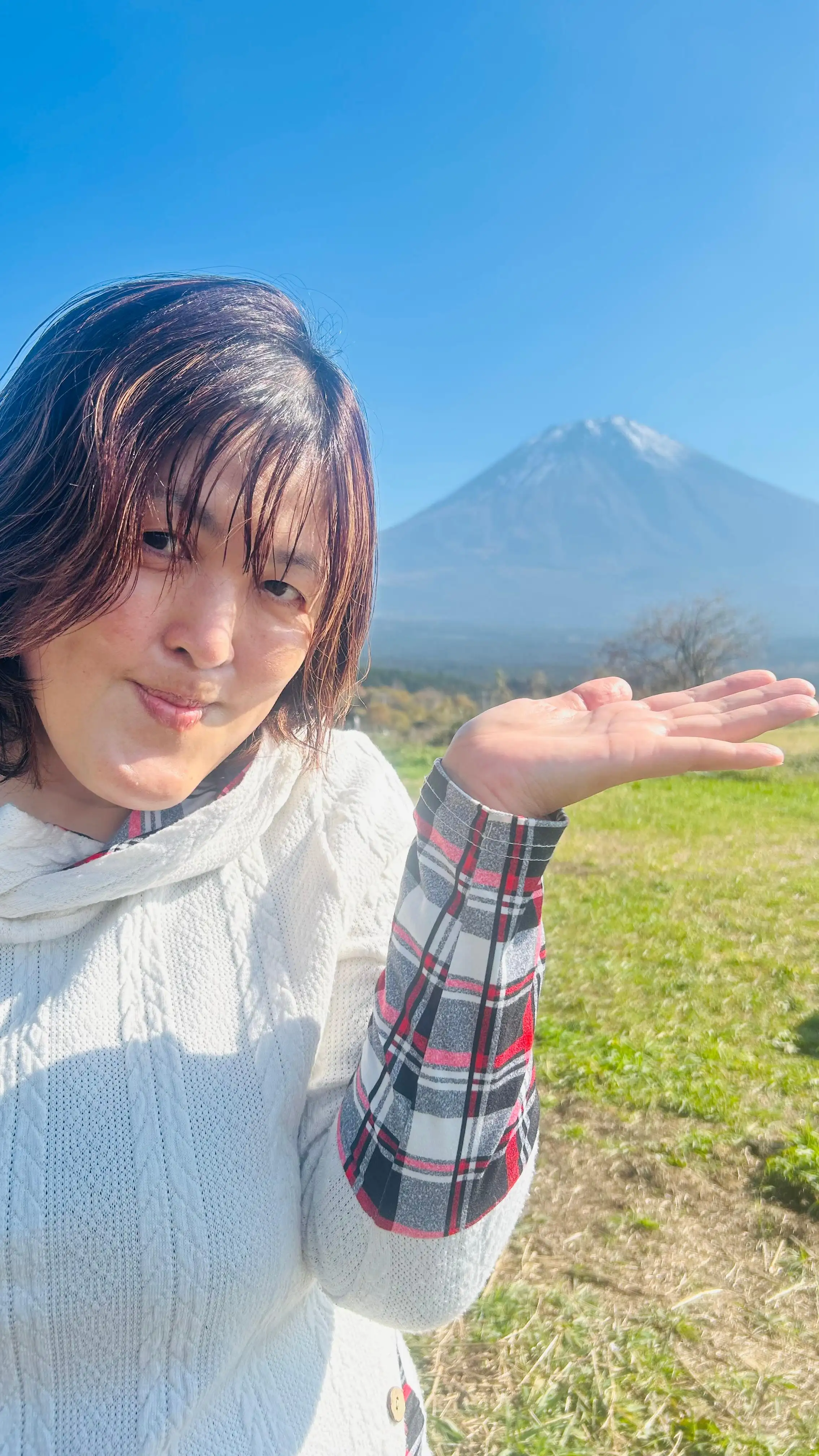 めろ