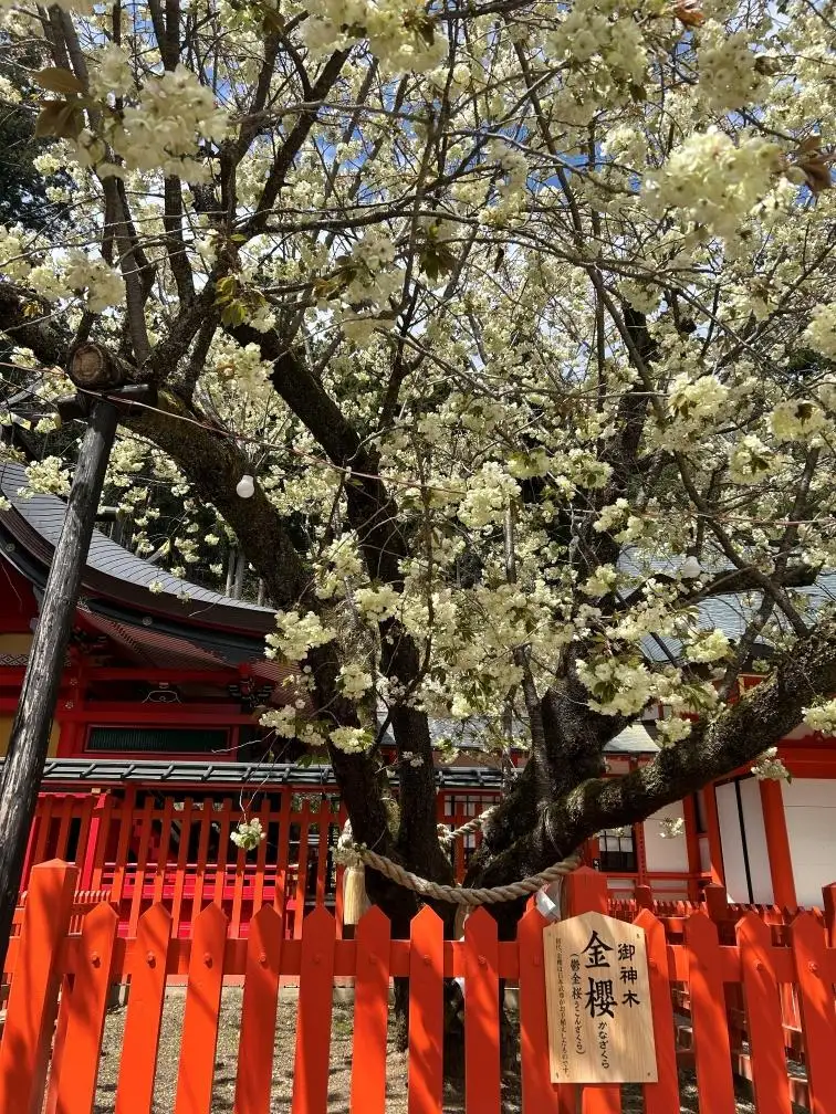 ＊.奈央.＊