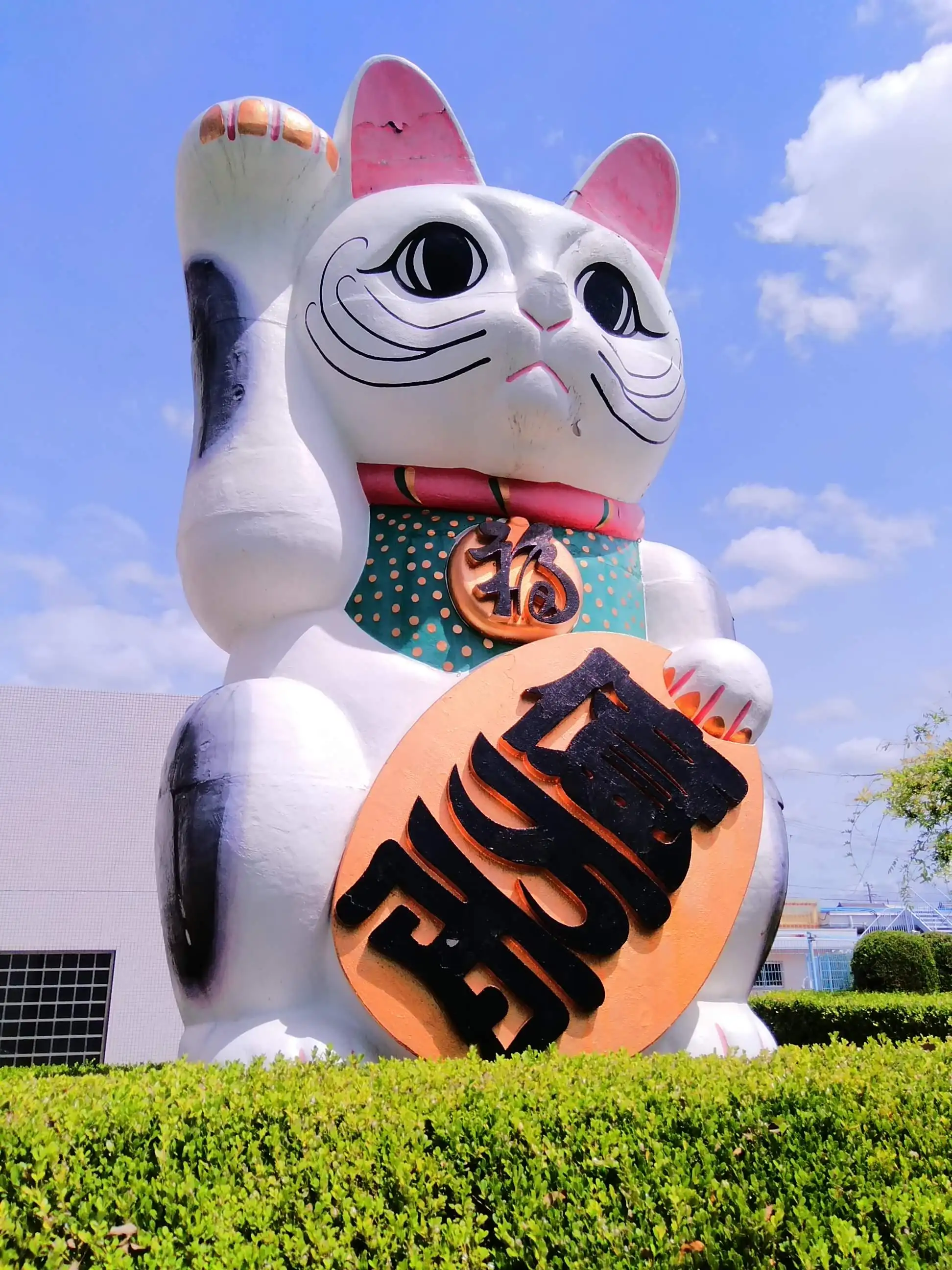 ようこ