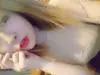 ��mii����