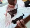 ���ߢ�