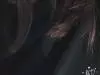 ���
