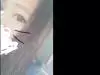 �ͤ���