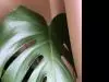 �ߤʤ�