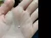 �ޤߤ�