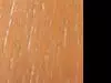 �椤��