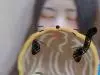 ��轺�