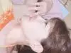 �ʥ�