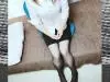 ʿ��椫��