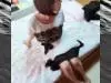 ���ڤޤդ�