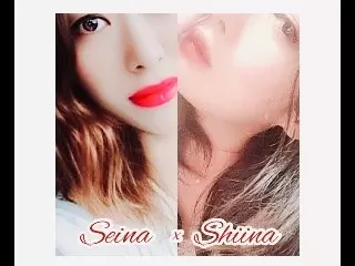 �����ʡ�������