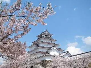 テニス卵