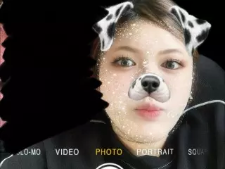 チロル