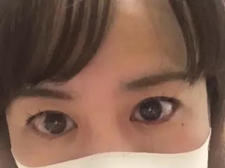 ことひ