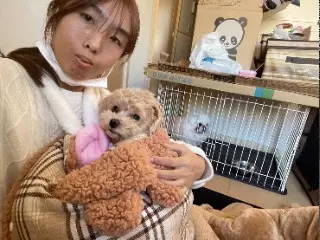なの＊